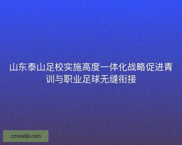 山东泰山足校实施高度一体化战略促进青训与职业足球无缝衔接 山东泰山足校实施高度一体化战略促进青训与职业足球无缝衔接