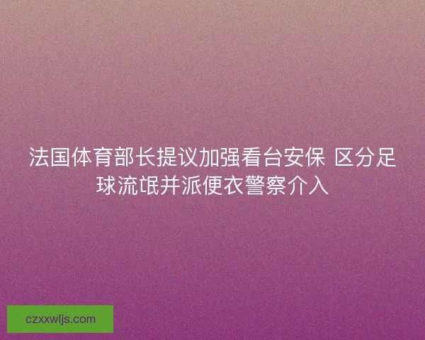 法国体育部长提议加强看台安保 区分足球流氓并派便衣警察介入