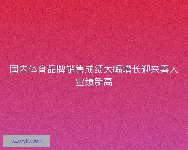 国内体育品牌销售成绩大幅增长迎来喜人业绩新高