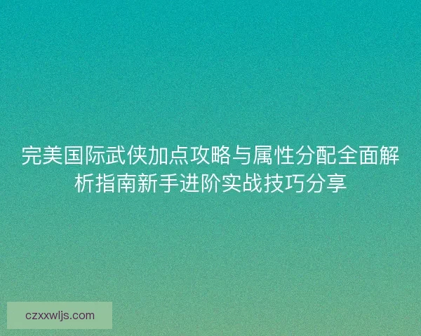 完美国际武侠加点攻略与属性分配全面解析指南新手进阶实战技巧分享
